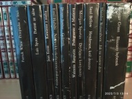 PRZEPASKA Z LIŚCI +9 TYTUŁÓW Z SERII WSPÓŁCZESNA PROZA ŚWIATOWA (10)PiW