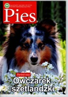 Pies nr 2/2017
