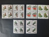 Fi 3164 - 3165 , 3401 - 3402, 3308 - 3309 ** - Owoce Drzew - CZWÓRKI