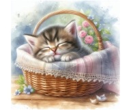 Panel z nadrukiem wodoodporny na torbę 45/45cm kot kociak oxford