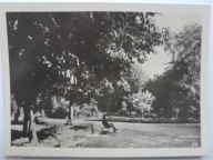 stara fotografia lokalizacja? (1255c)