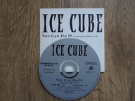 ICE CUBE You Can Do It EX/NM Promo