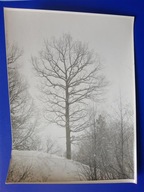 Białystok fot. Jerzy Boguszewicz duża