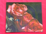 RODOWICZ Stan BORYS gonia wilki za owcami POCZTÓWKA DŹWIĘKOWA 72