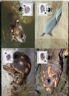 A51570)WWF-Maximum Karty Gady i Plazy: Venezuela 2729 - 2732