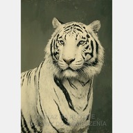 Biały tygrys obraz na płótnie 55x80 duży kot portret głowa zwierzę