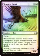 Karta Magic: The Gathering Tempest Hawk TDM *Foil*