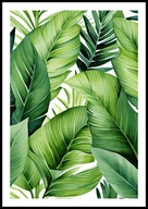 A2 PLAKAT DO SALONU SYPIALNI ŁAZIENKI ZIELONE LIŚCIE STRELICJI PALMY NR 16