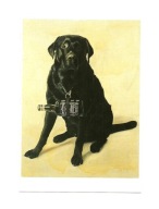 Pocztówka - Pies z butelką whisky / labrador