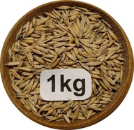 Owies Ozimy, Biały, Od Rolnika 1kg, 2025r
