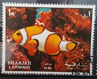 Ryby (kas) - luzak - do uzupełnień 13/5