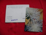 STAN BORYS i BIZONY nie spada z nieba los POCZTÓWKA DŹWIĘKOWA Ruch jak NOWA