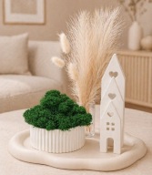 Zestaw - 5 elementów dekoracyjny domki mech chrobotek podstawka prezent