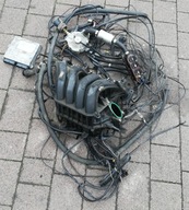 Citroen C4 Picasso instalacja LPG gazowa LANDI LSI-NSI 2.0 16V RFJ 06-13