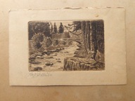 Krajobraz malowany piórkiem.