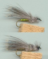 Sucha muszka KONIK POLNY I -#8; 10