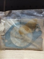 USZCZELKA POMPY WSPOMAGANIA A9062340380