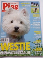 Przyjaciel Pies nr 7 2011 Westie + plakaty Polski owczarek i Owczarki belg