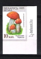 Białoruś 2025, zn. CIĘTY, Dzika Przyroda Białorusi, grzyb koźlarz czerwony