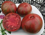 Pomidor DWARF Crimson Sockeye niski idealny do donic samo kończący