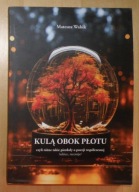 Mateusz Wabik - Kulą obok płotu czyli ... o poezji współczesnej