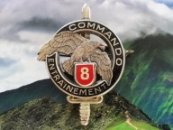 ODZNAKA WOJSKOWA -FRANCJA