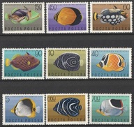 POLSKA - RYBY EGZOTYCZNE - FAUNA - 1967 - CZYSTE **