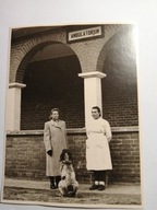 GDYNIA - AMBULATORJUM - KOBIETY PIES