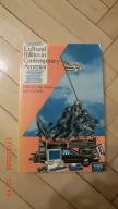 Cultural Politics in Contemporary America - Angus
