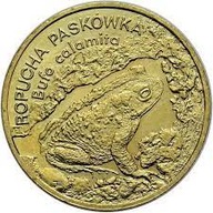 2 zł ROPUCHA PASKÓWKA