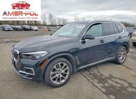 BMW X5 xDrive40i 2022 3.0 Benzyna 335KM