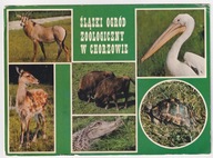 Katowice Chorzów Ogród Zoologiczny ZOO 1975r. WIELKA wymiary 130 x 179mm.