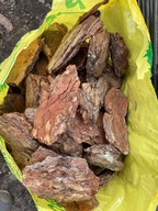 Kora Sosnowa WARSZAWA I OKOLICE DO 50 KM