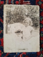 II RP dziecko miś fotografa Zakopane 1937 (313)