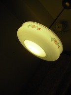 AMPLA DELIKATNIE ŚLICZNA