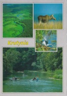 KRUTYNIA - RZEKA - Z LOTU PTAKA - ŁOŚ - RYBITWA CZARNA