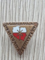 ZASŁUŻONY DZIAŁACZ TURUSTYKI BRĄZ