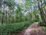 Działka, Potok, Rakszawa, Łańcucki, 1900 m²