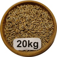 Żyto Ozime Konsumpcyjne/Paszowe 20kg, 2025r