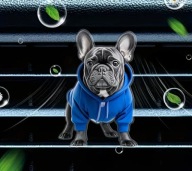 Zapach 2D PIESEK do samochodu na kratkę nawiewu DZIEŃ KOBIET