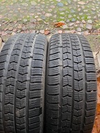 Nexen Winguard WT1 225/65R16