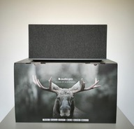 Audio Pro C20 (szary)