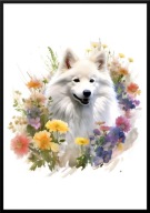 A2 PLAKAT PIES W KWIATACH RASA SZPIC JAPOŃSKI