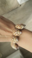 BRANSOLETKA Z MUSZLI NA RĘKĘ MUSZELKI MUSZLE BOHO