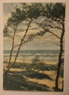 ŁEBA. Nad morzem, CZYSTA, 1966 rok