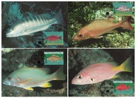 01-MC-GK62- Turks i Caicos, WWF, 1998-Ryby oceaniczne