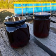 Miód SPADŹ IGLASTA 0,7kg ZBIÓR 2025r Pasieka U Antosia