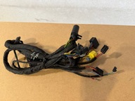 Wiązka drzwi lewa/prawa Lamborghini Aventador LP-700 470 971 029C