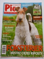 Przyjaciel Pies nr 6 2010 Foksterier + plakaty Foksterier i Pinczer min.