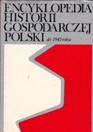 Encyklopedia historii gospodarczej Polski do 1945 roku. Tom 1 (A-N) Heller